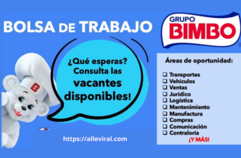 BIMBO: ¿Estás Listo para un Nuevo Reto Laboral?