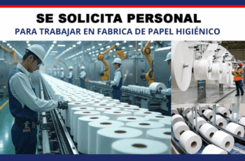 Trabaja en Fábrica de Papel Higiénico