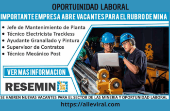 Construye tu Futuro con Resemin