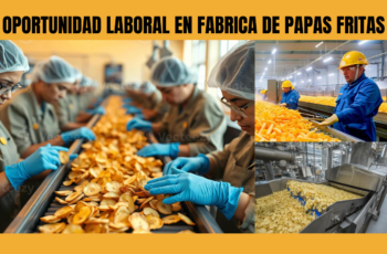 Oportunidad laboral en fábrica de papas fritas