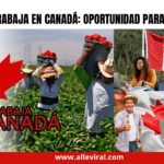 Trabaja y vive en Canadá: Oportunidad laboral para latinos