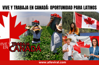Trabaja y vive en Canadá: Oportunidad laboral para latinos