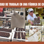 Oportunidad de Trabajo en una Fábrica de Chocolate