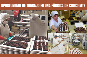 Oportunidad de Trabajo en una Fábrica de Chocolate