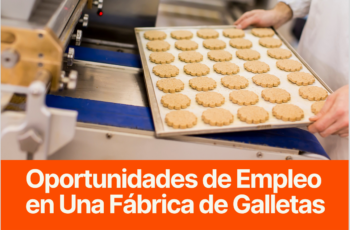 Oportunidades de Empleo en Una Fábrica de Galletas