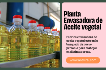 Trabaja en una planta envasadora de aceite vegetal