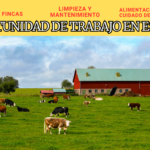 Oportunidad de trabajo en España