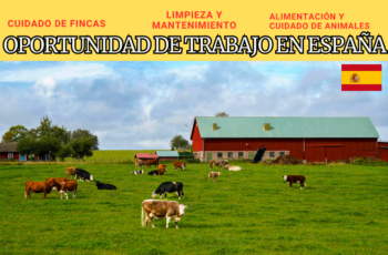 Oportunidad de trabajo en España