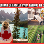 Oportunidades de empleo para Latinos en Canadá